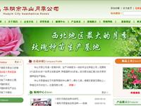 华山月季花