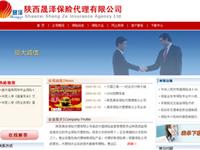 陕西盛泽保险公司